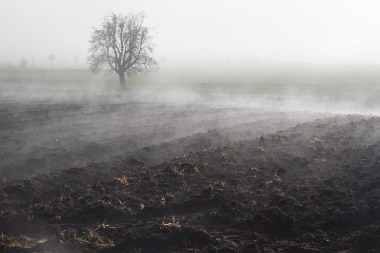 Free stock image of Foggy Field created by Pixabay