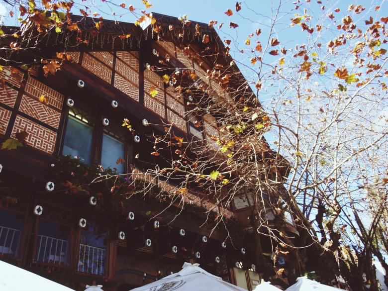 Free stock image of Autumn Leaves created by Mayara Sousa