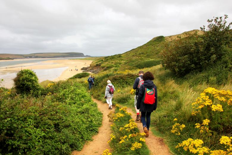 Free stock image of Coastal Path in Cornwall created by paul clifton