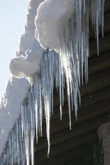 Free Stock Photo of Frozen Ice