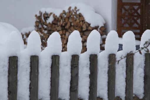 Free Stock Photo of In Winter