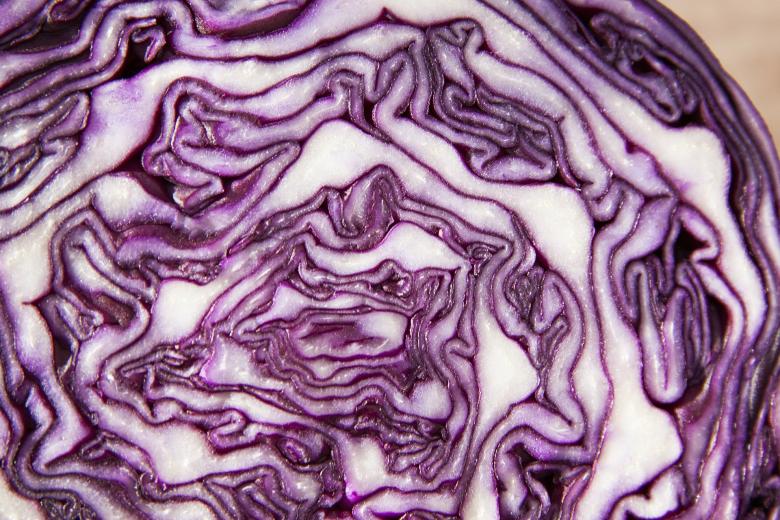 Free stock image of Red Cabbage created by Pixabay