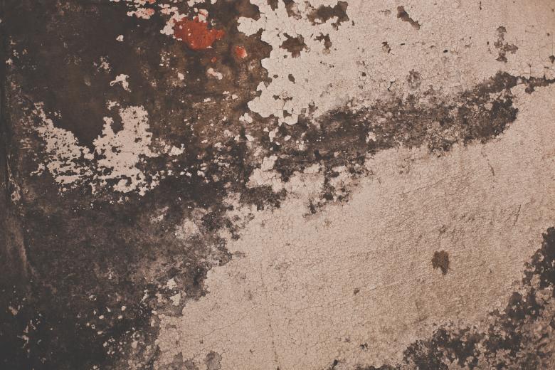 Free stock image of Grunge Wall Peeled Paint Texture created by Free Texture Friday
