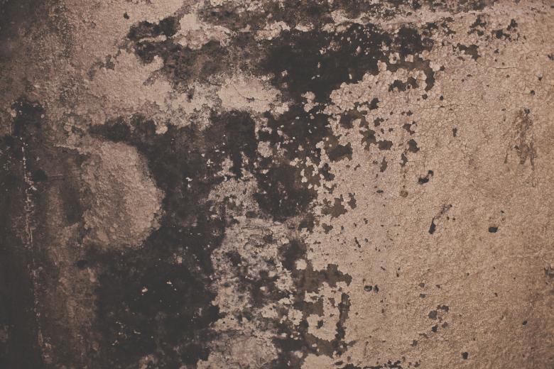 Free stock image of Grungy Peeled Wall Texture created by Free Texture Friday