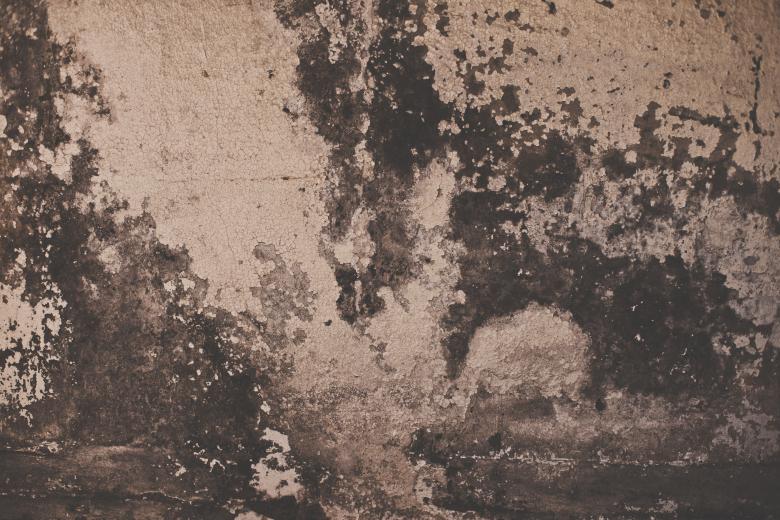 Free stock image of Grunge Peeled Wall Texture created by Free Texture Friday