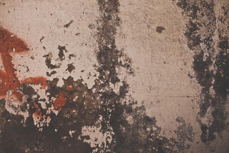 Free stock image of Vintage Peeled Wall Texture created by Free Texture Friday