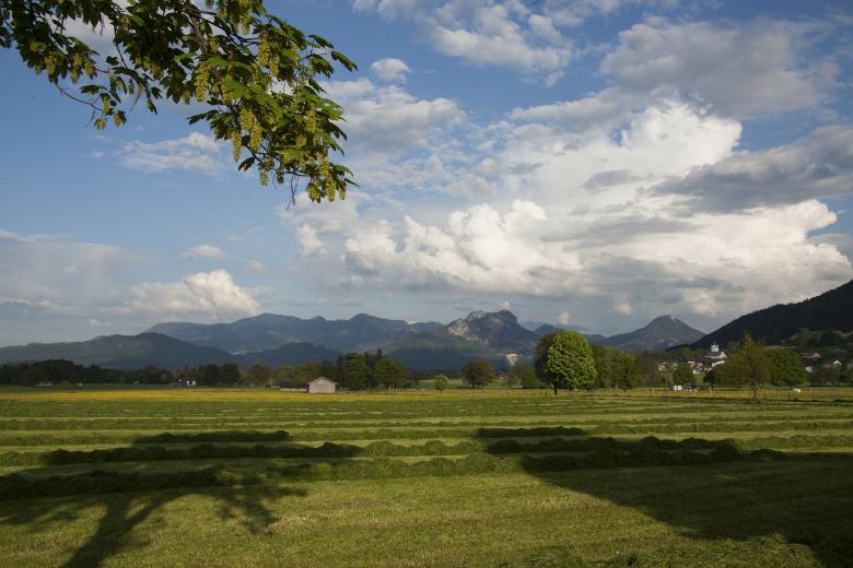 Free stock image of Scenic View created by Pixabay