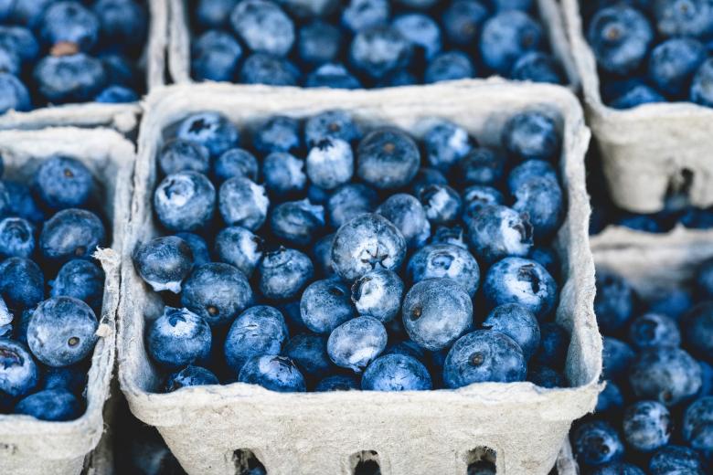 Free stock image of Blue Berries created by Pixabay