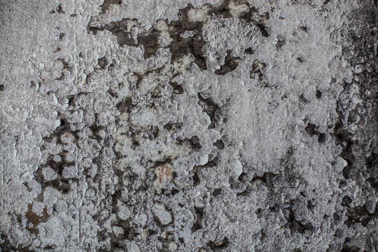 Free stock image of Grunge Peeling Wall created by Free Texture Friday