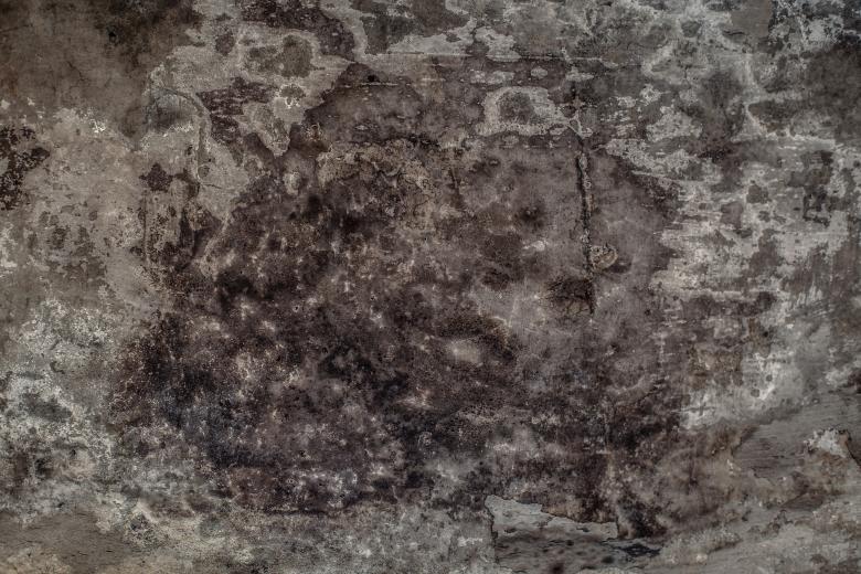 Free stock image of Grunge Moldy Wall Background created by Free Texture Friday