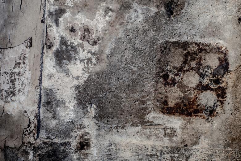 Free stock image of Grunge Moldy Wall Texture created by Free Texture Friday
