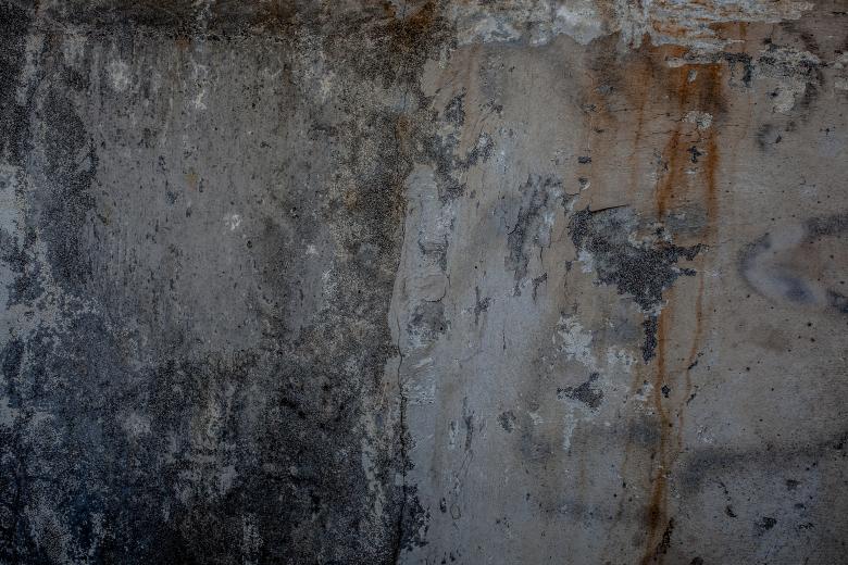 Free stock image of Moldy Grunge Wall Background created by Free Texture Friday