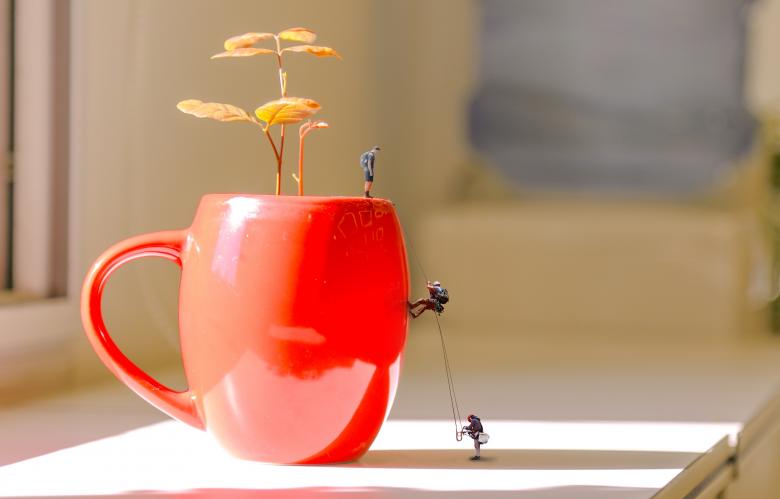 Free stock image of Flowerpot Climb created by Pixabay
