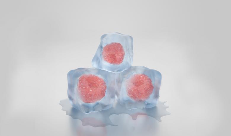 Free stock image of Frozen Berries created by Pixabay