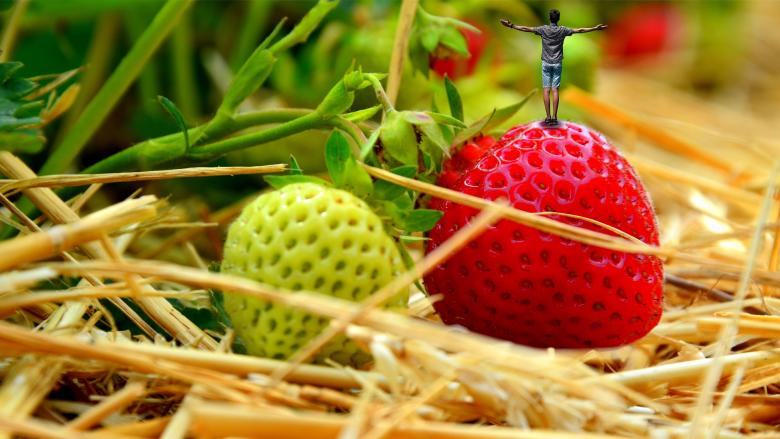 Free stock image of Fresh Strawberries created by Pixabay