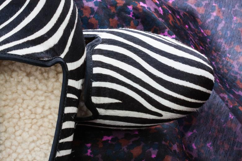 Free stock image of Zebra Shoes created by Pixabay