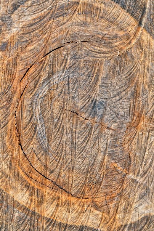 Free stock image of Wooden Embryo - HDR Texture created by Nicolas Raymond