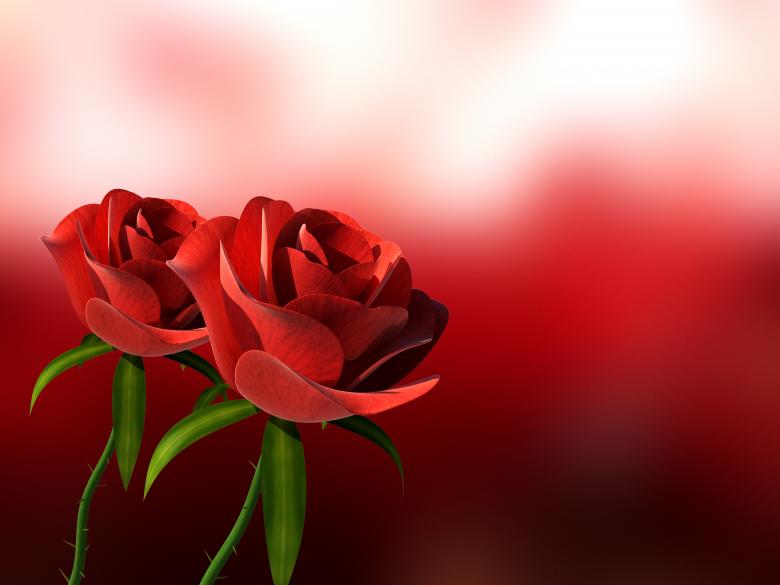 Free stock image of Roses with Copyspace created by Stuart Miles