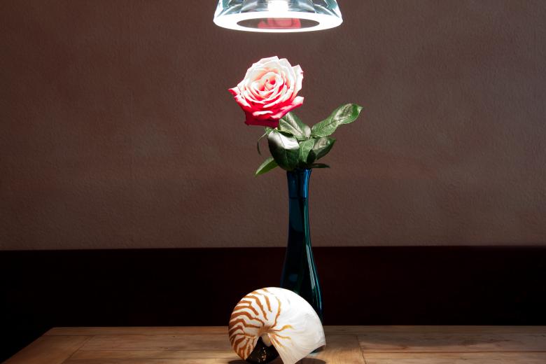 Free stock image of Still Life created by Pixabay