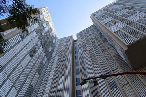 Skyscrapers in the City - Free Stock Photo
