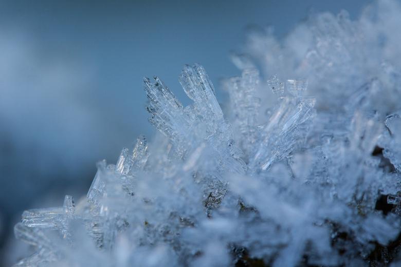 Free stock image of Hoarfrost created by Pixabay