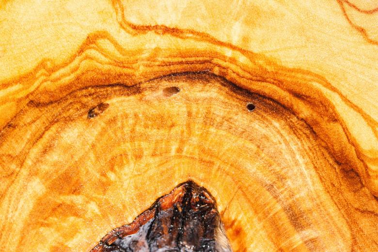 Free stock image of Olive Wood created by Pixabay