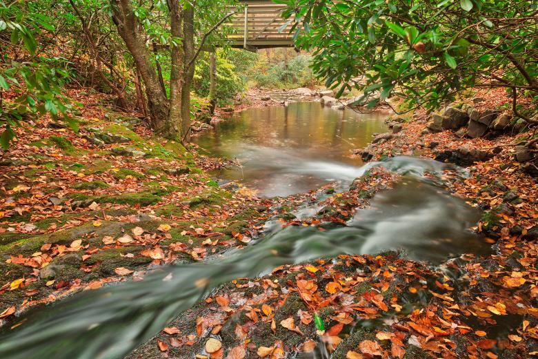 Free stock image of Autumn Hawk Stream - HDR created by Nicolas Raymond
