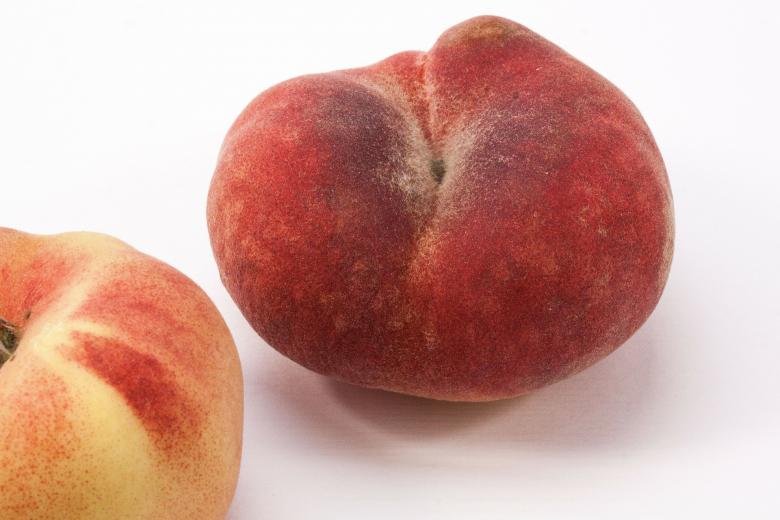 Free stock image of Vineyard Peach created by Pixabay