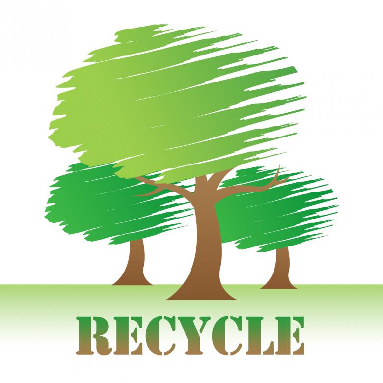 Free stock image of Recycle Trees Shows Earth Friendly And Reuse created by Stuart Miles