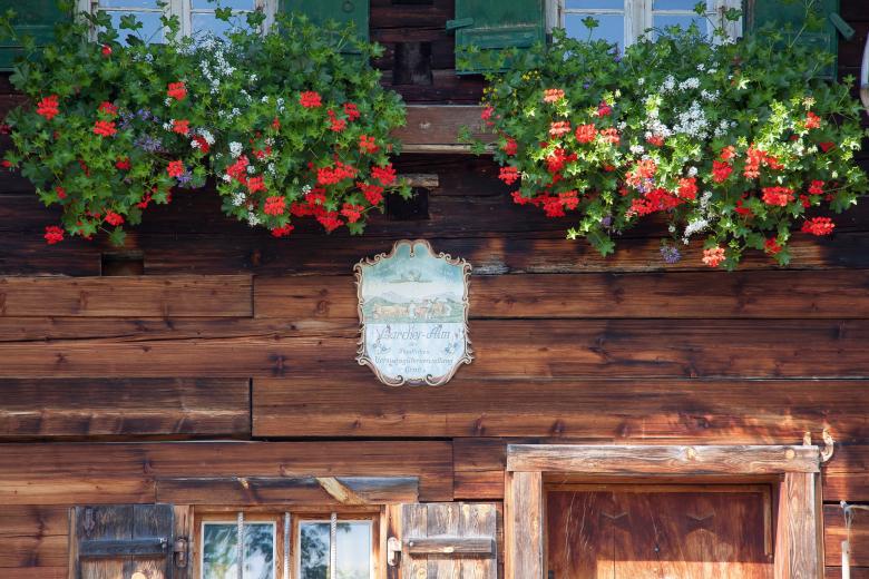 Free stock image of Flowers in the Window created by Pixabay
