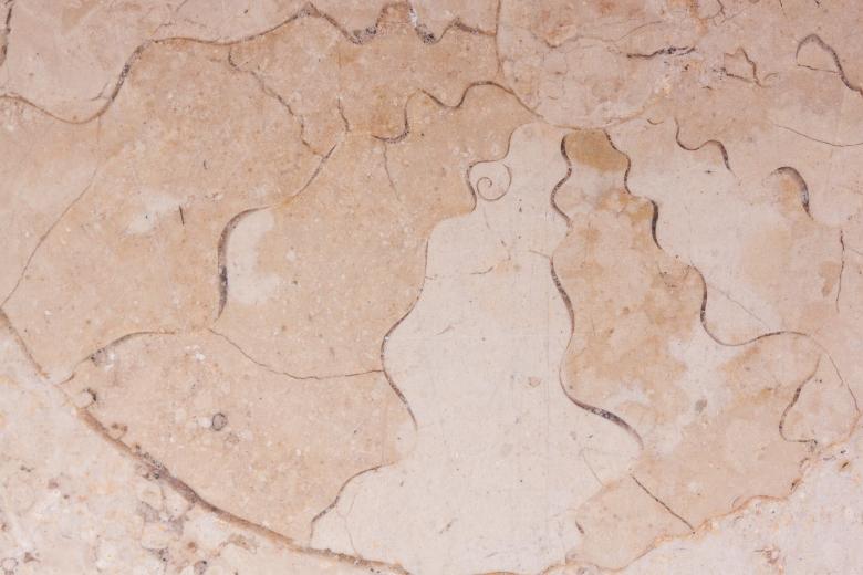 Free stock image of Petrification Process created by Pixabay