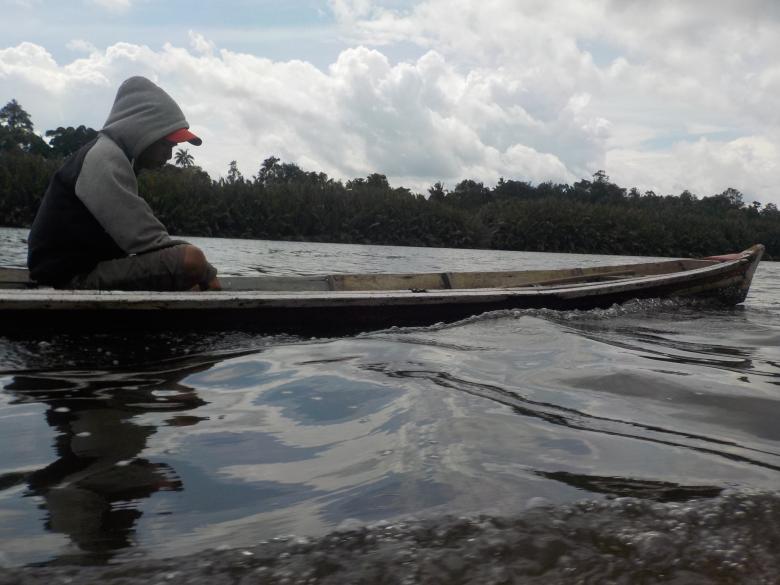 Free stock image of Rumbia of River created by Rikson Roberto