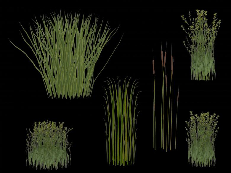 Free stock image of Isolated Grass created by bykst