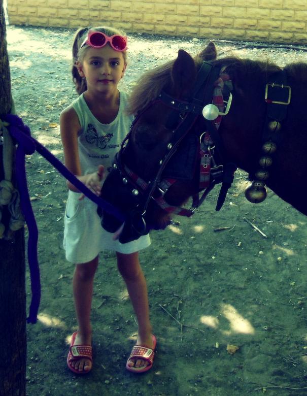 Free stock image of Girl and Horse created by Victor Zotov