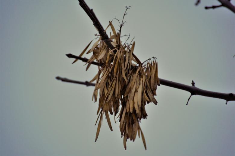 Free stock image of Hanging on for Dear Life created by Joseph Vos