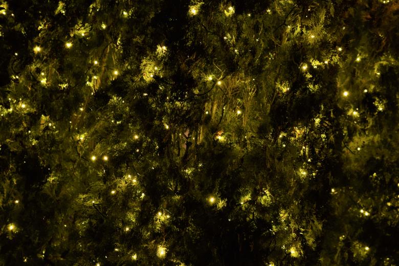 Free stock image of Christmas Lights created by Joseph Vos