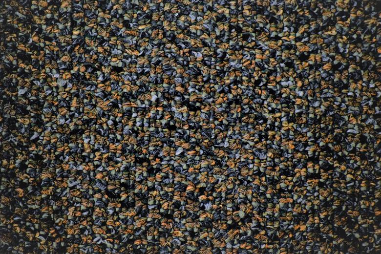 Free stock image of Blue Speckles created by Joseph Vos