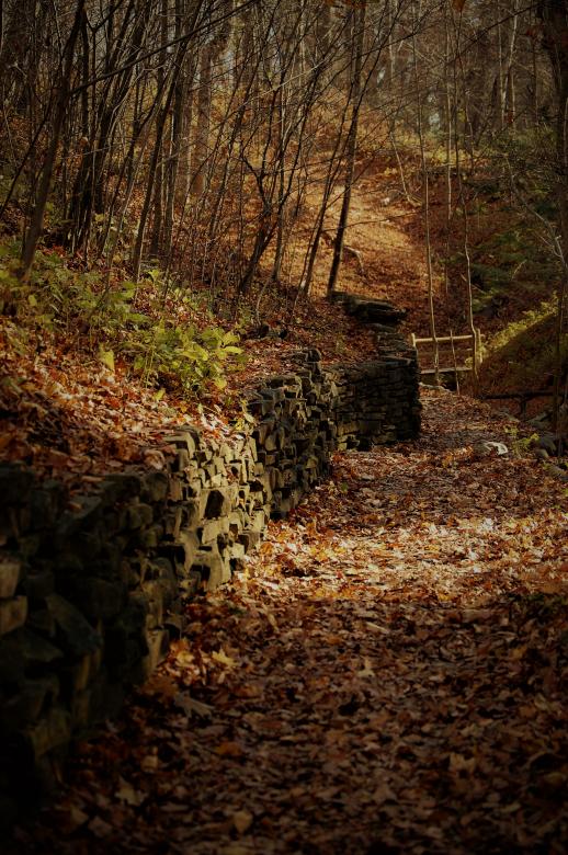 Free stock image of Pathway to Fall created by Joseph Vos