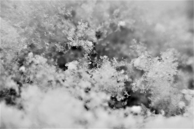 Free stock image of Macro Shot of Snow created by Joseph Vos