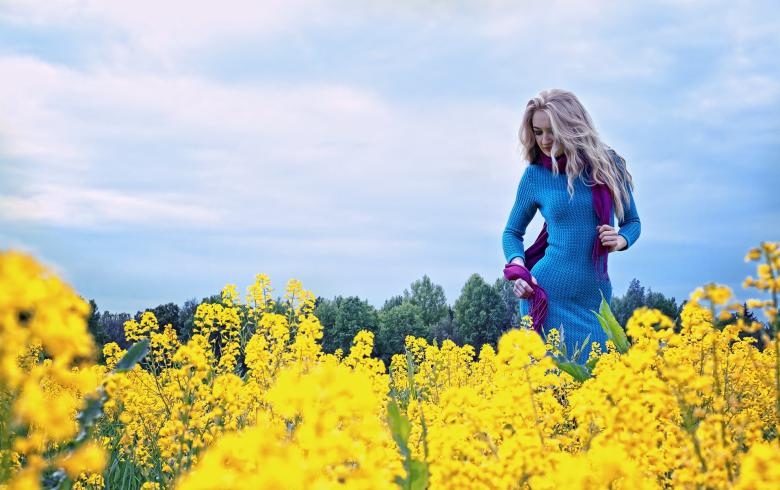 Free stock image of Lady in the Dandelion Field created by Pixabay