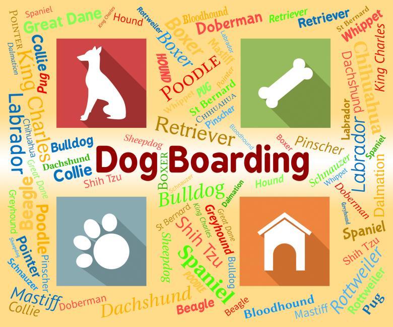 Free stock image of Dog Boarding created by Stuart Miles