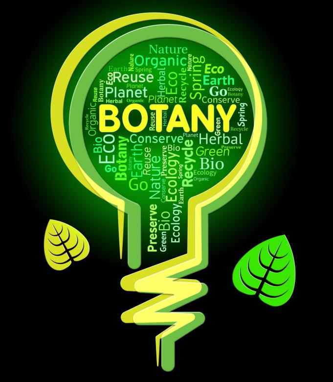 Free stock image of Botany Lightbulb Represents Nature Rural And Eco created by Stuart Miles