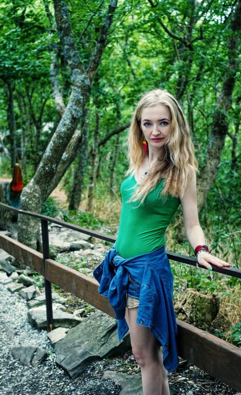 Free stock image of Into the Wild created by Pixabay