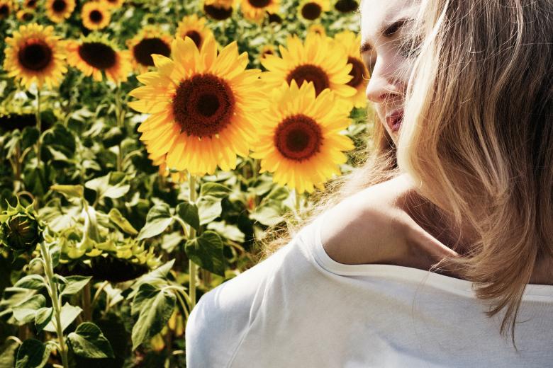 Free stock image of Model in the Sunflower Field created by Pixabay