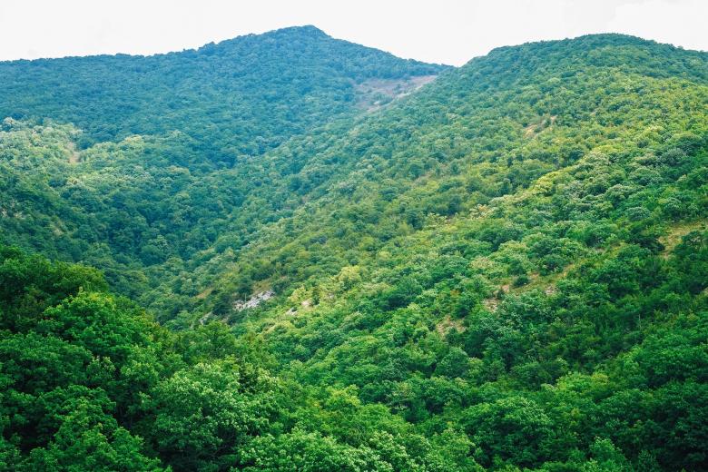 Free stock image of Lush Green Mountains created by Pixabay