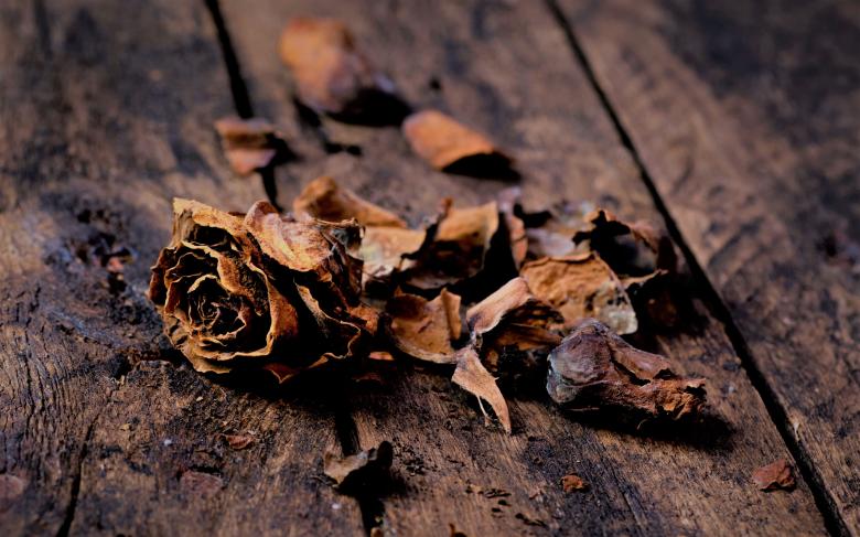 Free stock image of Dry Leaves on Wooden Boards created by Pixabay