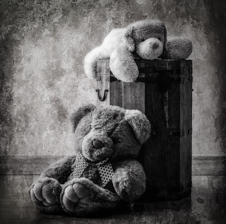 Free stock image of Old Teddies created by Pixabay