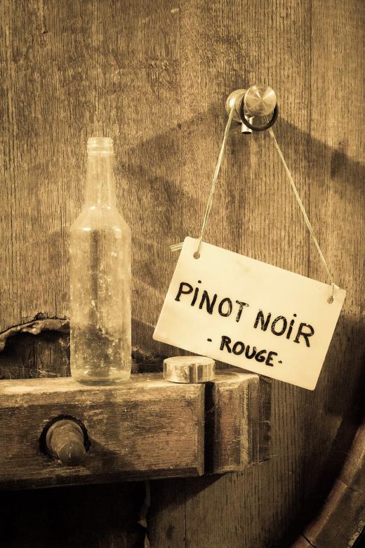 Free stock image of Pinot Noir created by Pixabay