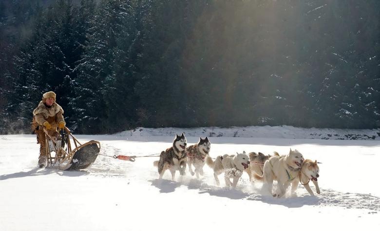 Free stock image of Riding Wolf created by Pixabay