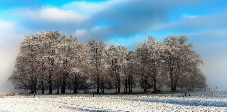 Free stock image of In Winter created by Pixabay